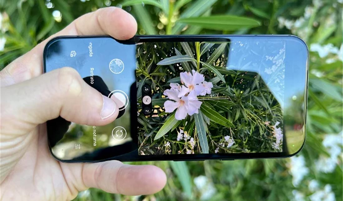 نمایش کیفیت دوربین گوشی گوگل پیکسل 8a در عکاسی از سوژه نزدیک