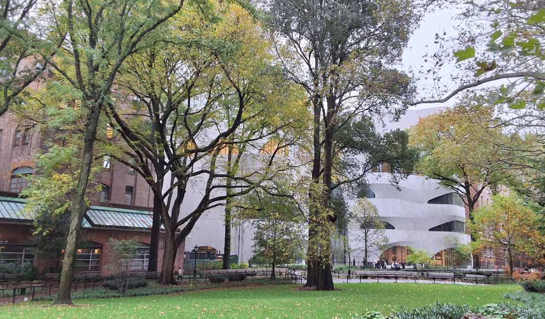 عکس گرفته شده به وسیله گلکسی تب ‏S9 FE‏ پلاس