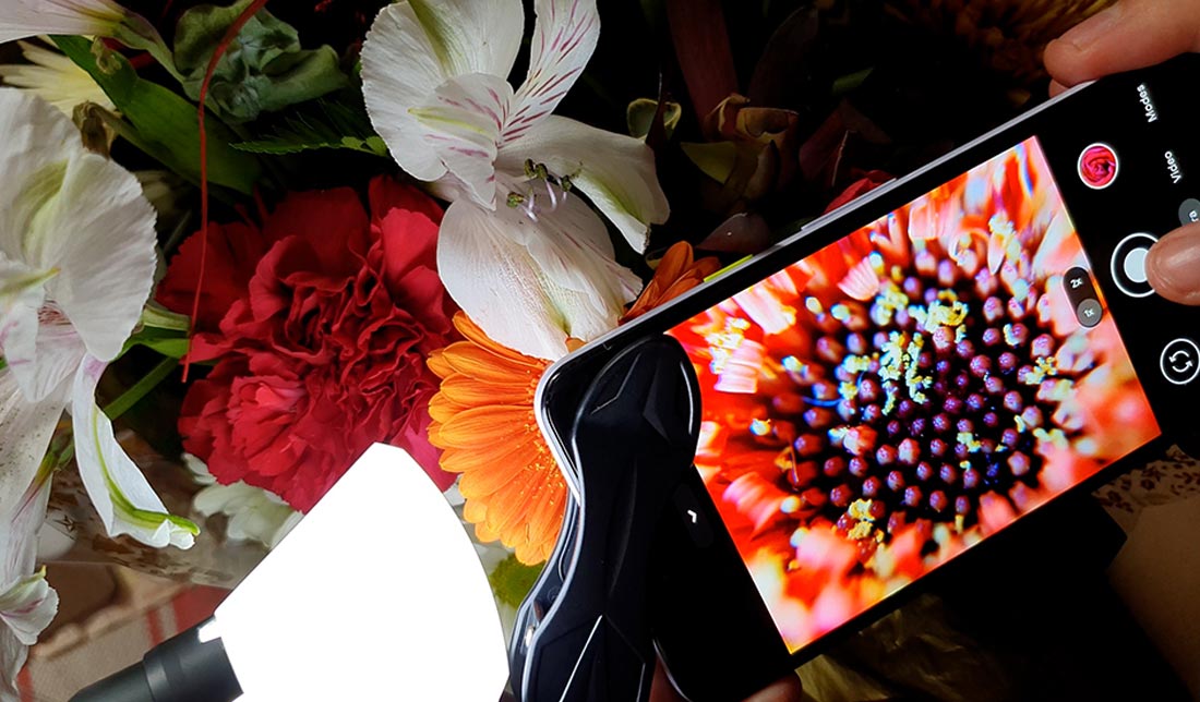 تصویر ثبت شده توسط لنز ماکرو از سطح گل