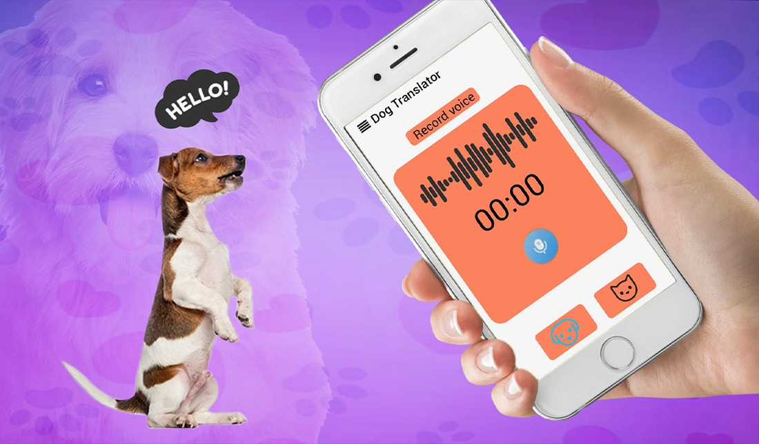 نمایش یک برنامه مترجم زبان حیوانات