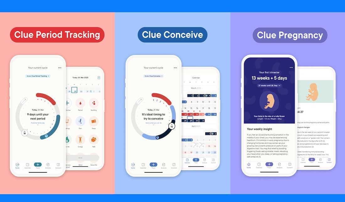 نمایی از اپشن های مختلف اپلیکیشن  Clue