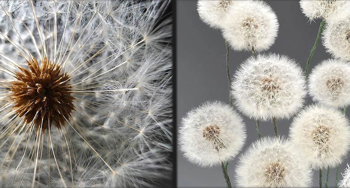 نمایش کیفیت دوربین گوشی گلکسی s25 اولترا